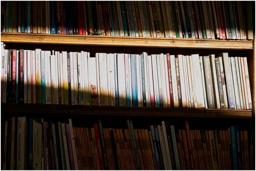 A library bookshelf bathed in sunlight casting sha