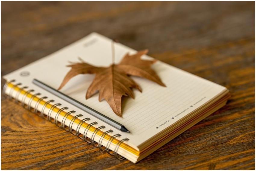 Autumn leaf resting on a spiral notebook with penc
