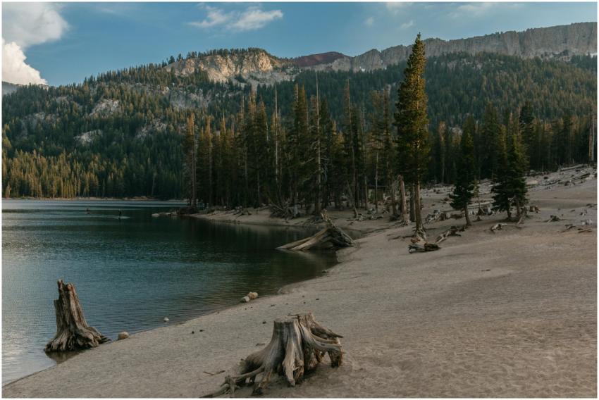 Calm lake surrounded by lush pine forest and mount