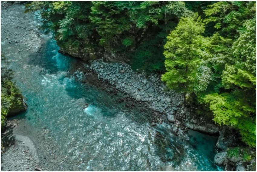 A vibrant aerial view of a serene river flowing th