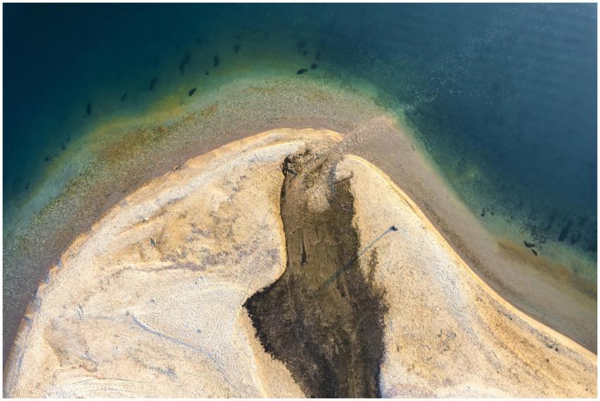 Aerial photo of a lake's shoreline with clear wate