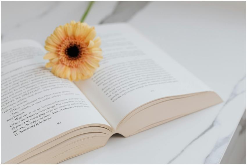 A serene image of an open book with a yellow gerbe