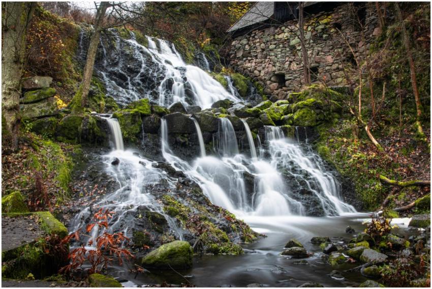 Free stock photo of 2025, 4k nature, 4k photo