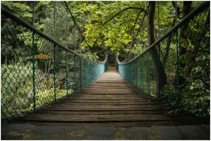 A tranquil wooden suspension bridge surrounded by