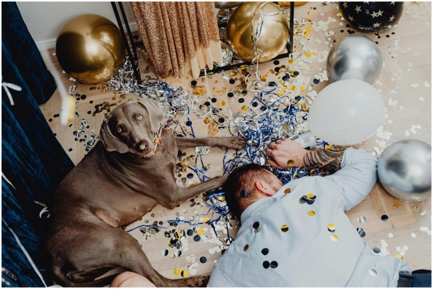 A Weimaraner dog and a man lie amidst post-party m
