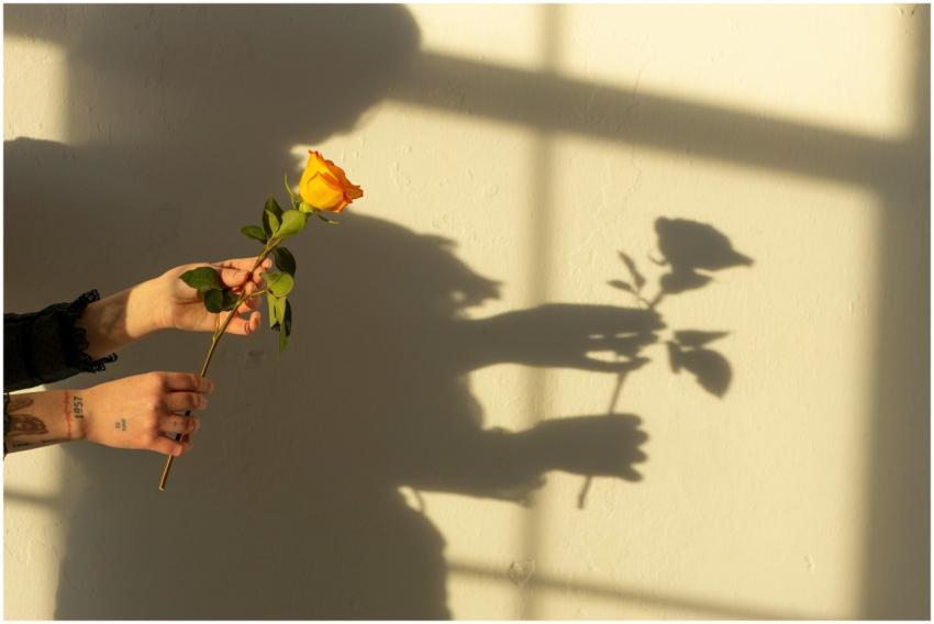 A hand holding a yellow rose against a wall, casti
