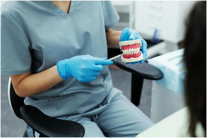 Dentist in scrubs and gloves demonstrating dental