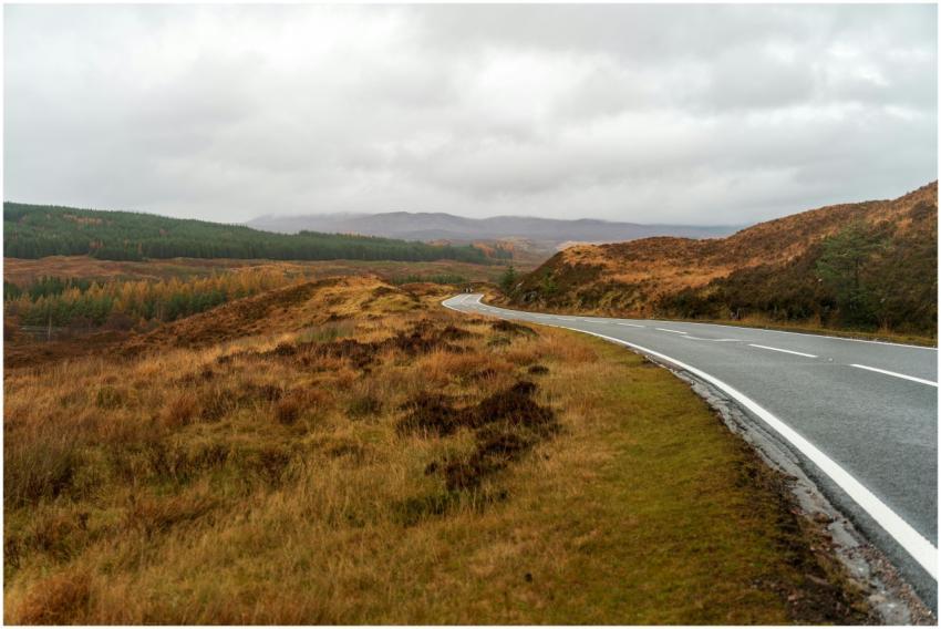Picturesque view of a winding road through a seren