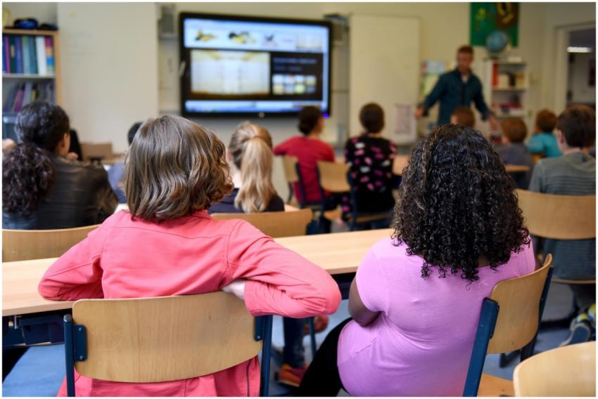 Students attentively watching a lesson on a smart