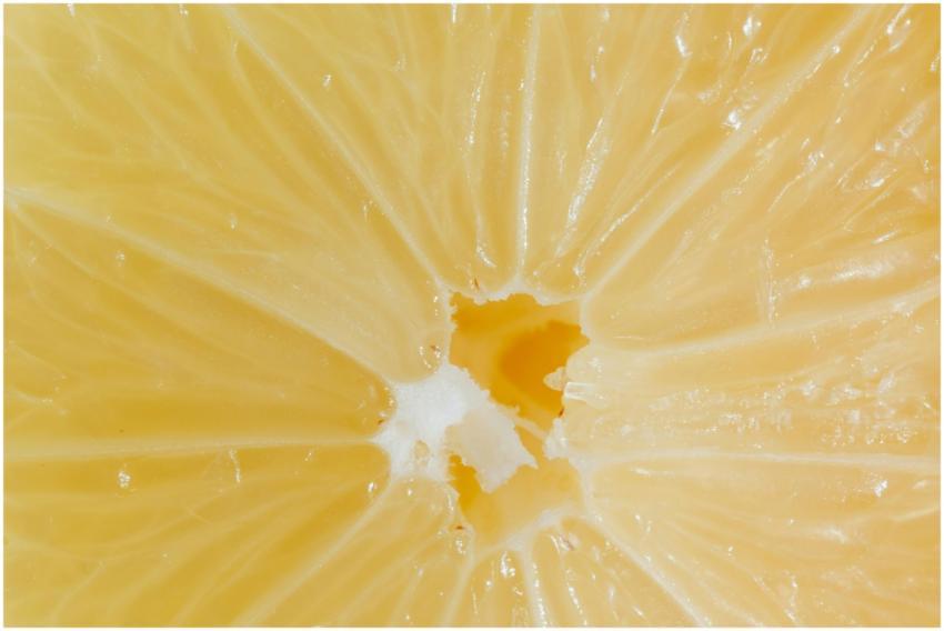 Closeup cross section of lemon with fresh ripe jui