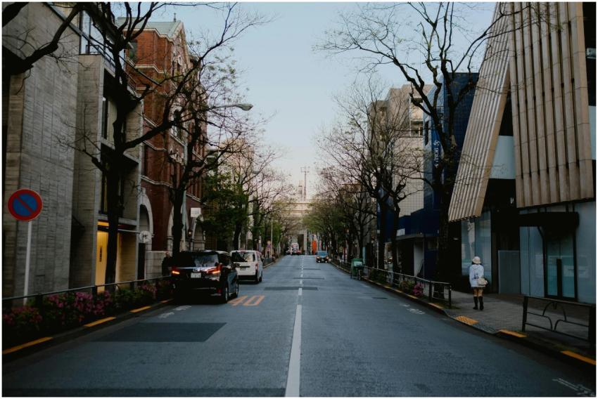 A quiet Tokyo street with parked cars and trees on