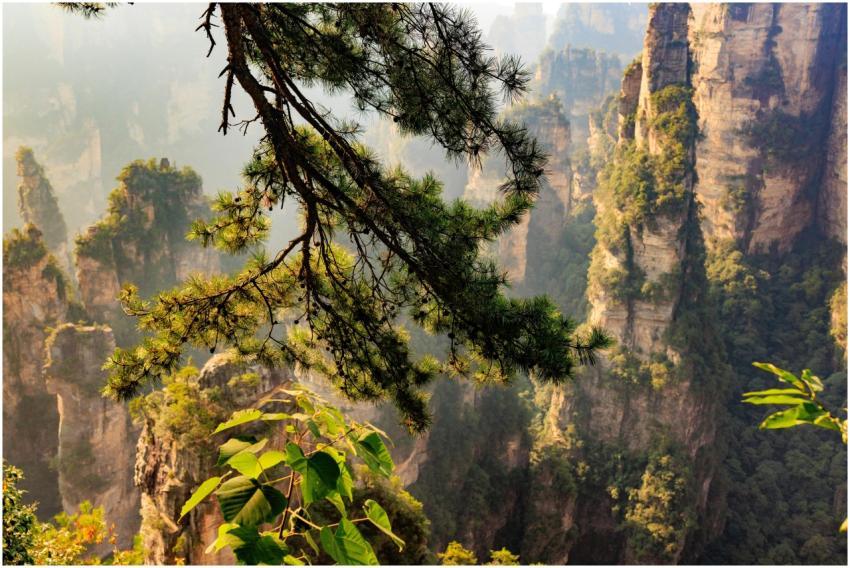 Zhangjiajie National Forest 34683512