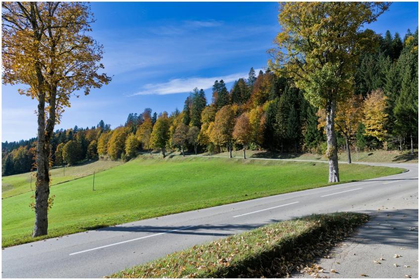 Beautiful autumn scene with colorful trees and win