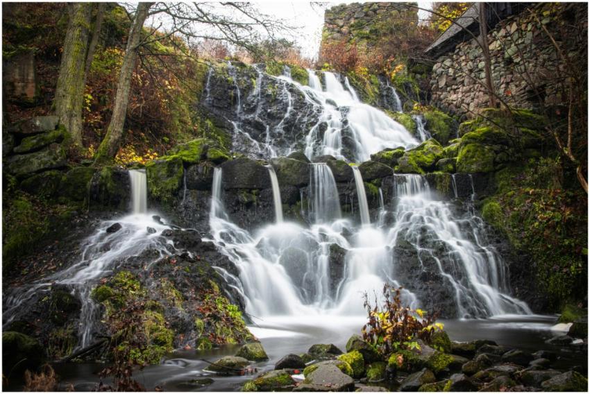 Free stock photo of 2025, 4k, 4k nature