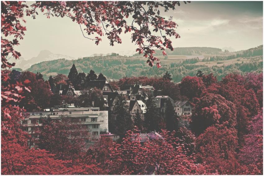 Charming autumn view of Bern, Switzerland, with vi