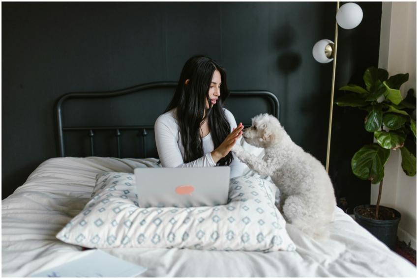 A woman working from home on a laptop, sharing a j