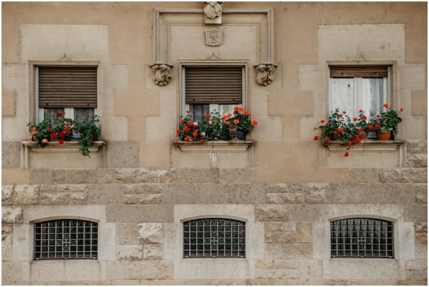 Elegant stone building facade with vibrant red flo