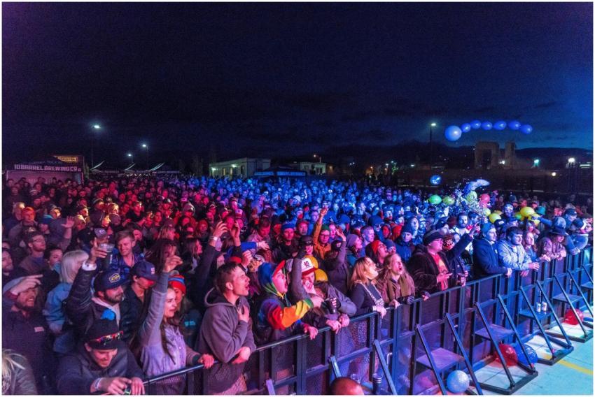 Energetic crowd enjoying a night concert with vibr