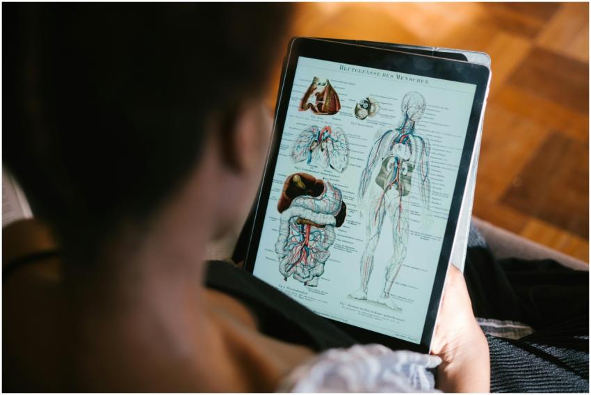 A woman studies anatomy diagrams on a tablet indoo