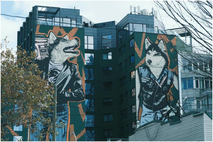 Colorful urban street art murals featuring anthrop