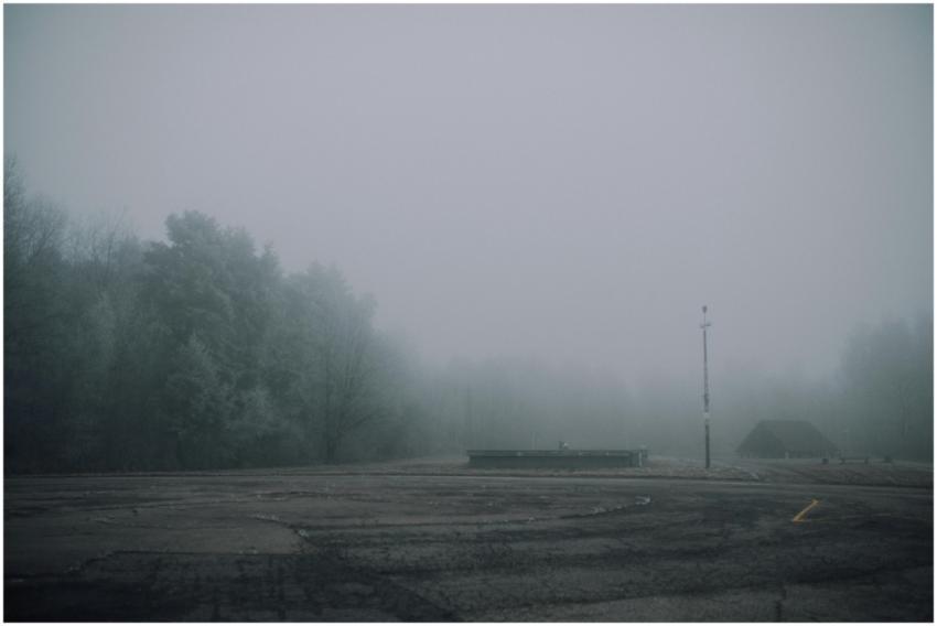 A misty, foggy landscape featuring trees and an em