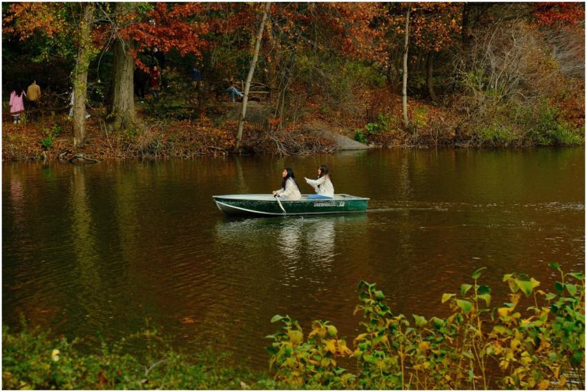 Two people rowing on a serene lake in Central Park