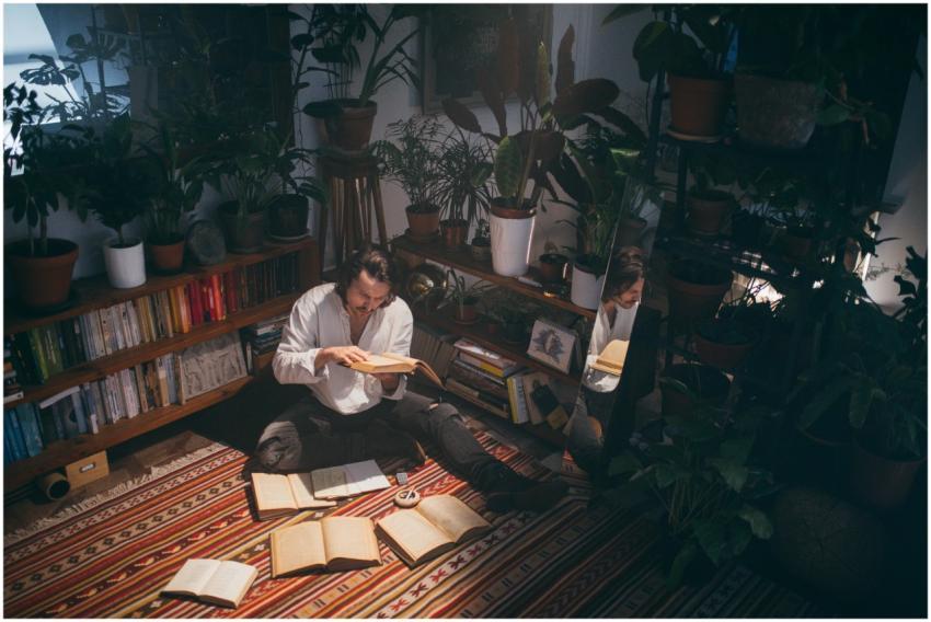 A man enjoying a book in a warm, plant-filled room