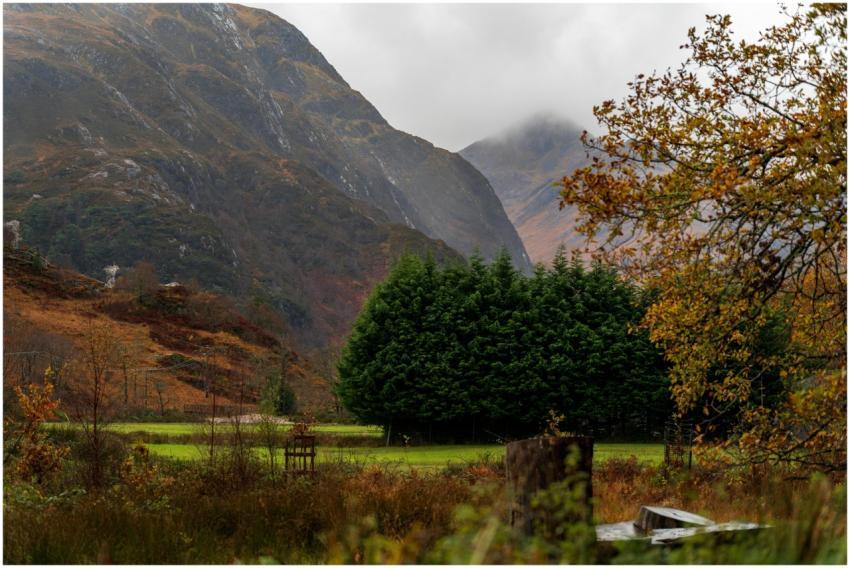Beautiful autumn landscape with trees and mountain