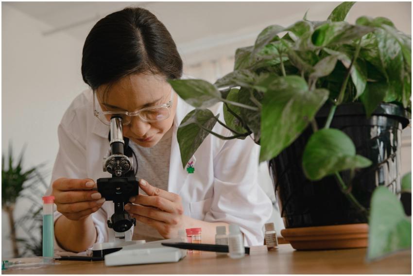 A scientist studies plant biology using a microsco