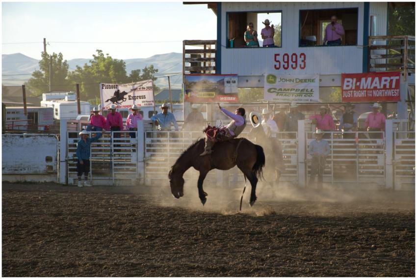 Dynamic rodeo scene capturing a cowboy skillfully
