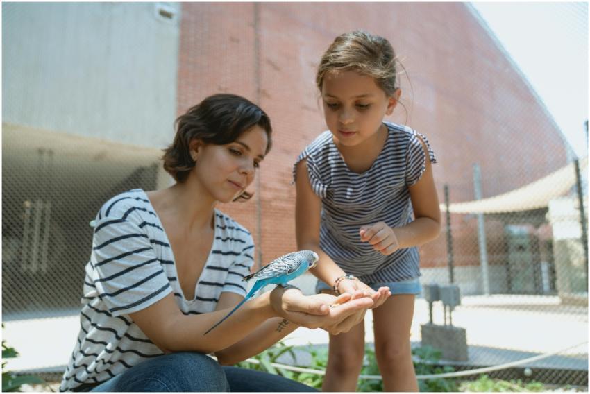 A woman and child feeding a blue parakeet in an ou