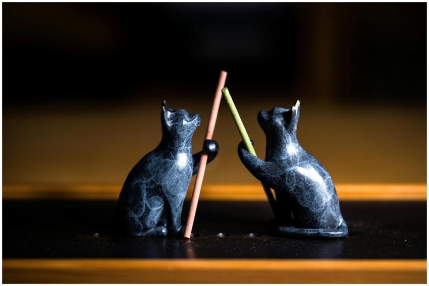 Two stone cat figurines hold incense sticks in thi