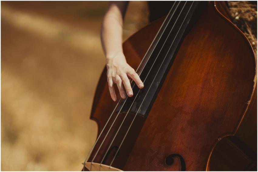 Hand of a musician playing a double bass outdoors