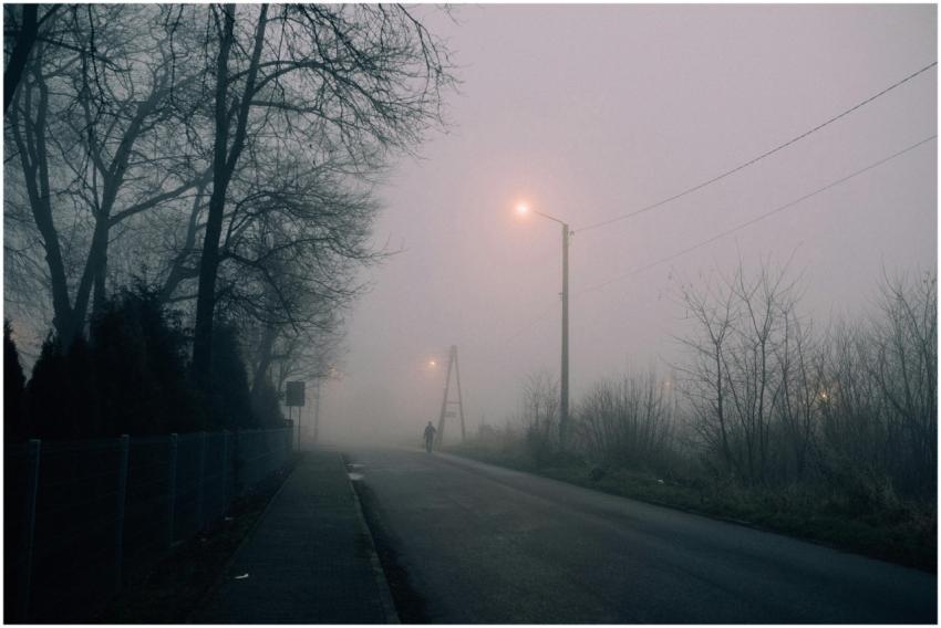Gloomy foggy street at night with bare trees and s