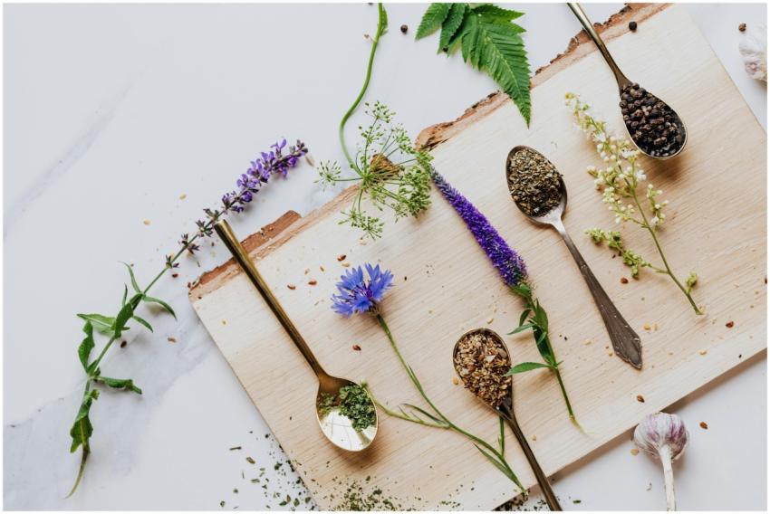 An artistic flat lay of herbs and flowers with tea