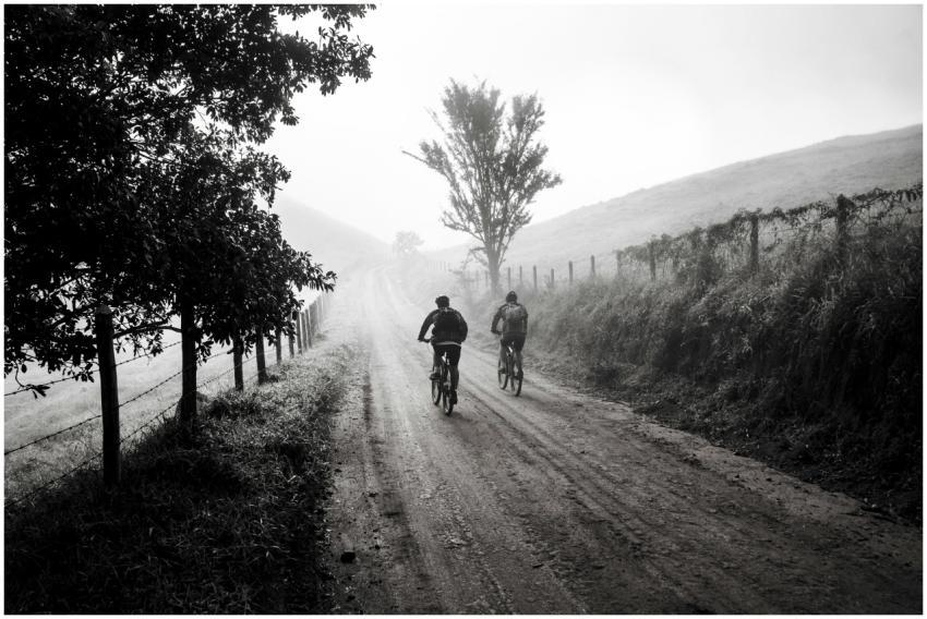Two cyclists ride through a foggy countryside trai