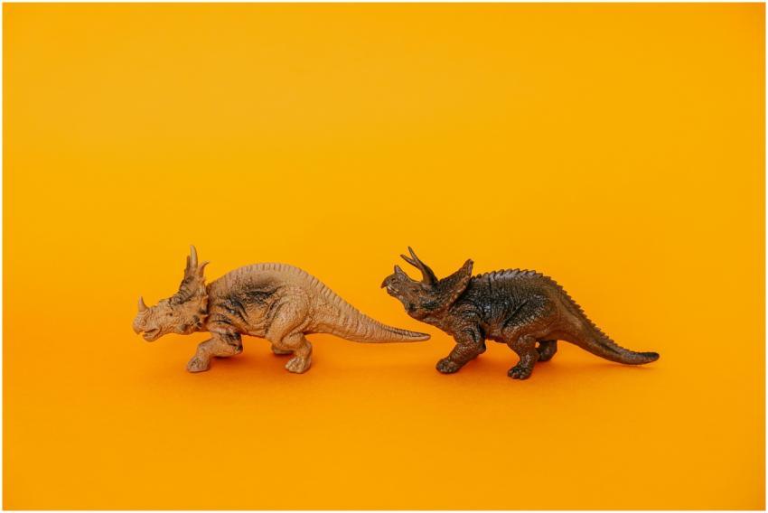 Triceratops and dinosaur toy models displayed agai