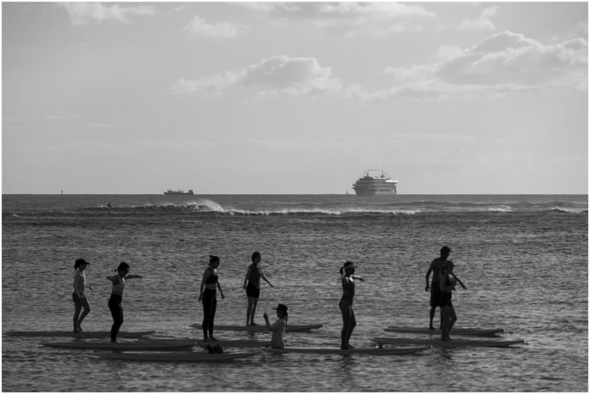Silhouette of a group paddle boarding on the ocean