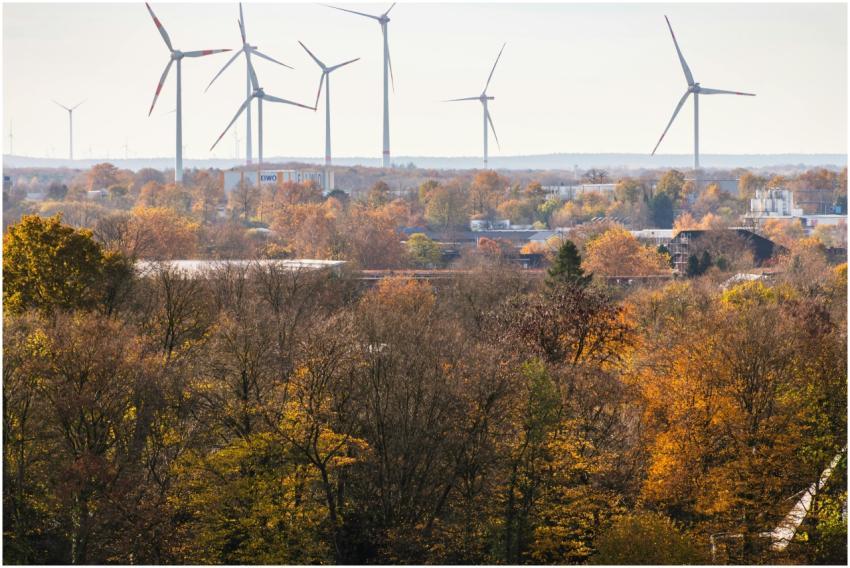 Autumn Landscape Wind Turbines