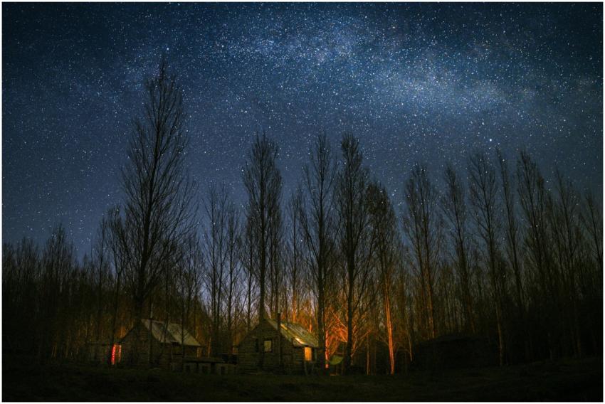 Scenic view of wooden cottages under the starry ni