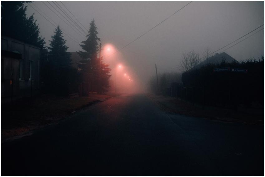 Misty night on a quiet village road illuminated by