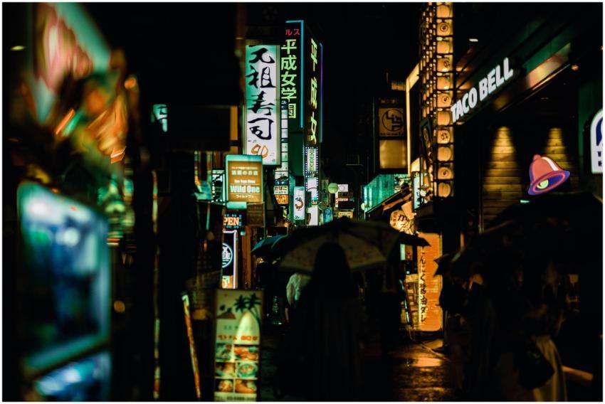 Explore Tokyo's bustling nightlife with neon light