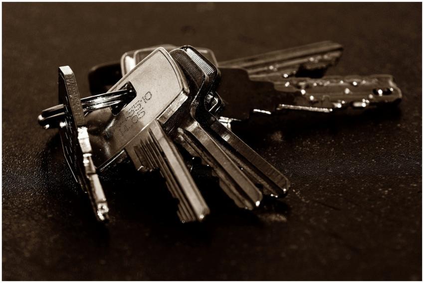 A detailed close-up of a bunch of metallic keys re