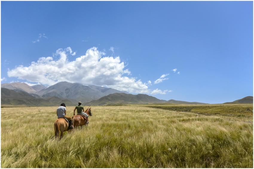 Two people on horseback ride through Mendoza's pic