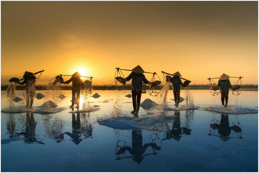 Silhouetted salt workers gather salt at sunset, ca