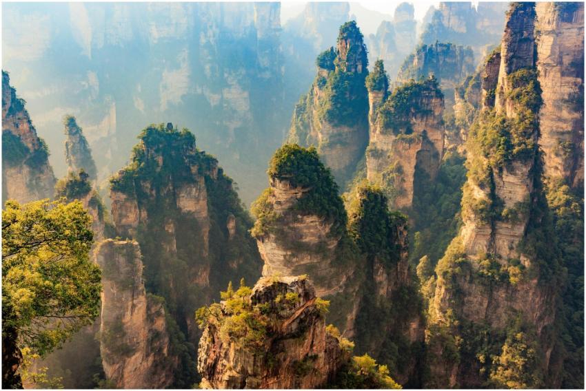 Majestic Zhangjiajie National Forest