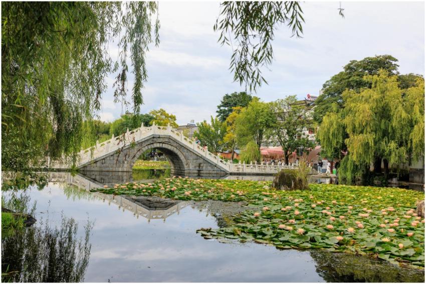 Stone bridge reflecting in a pond filled with wate