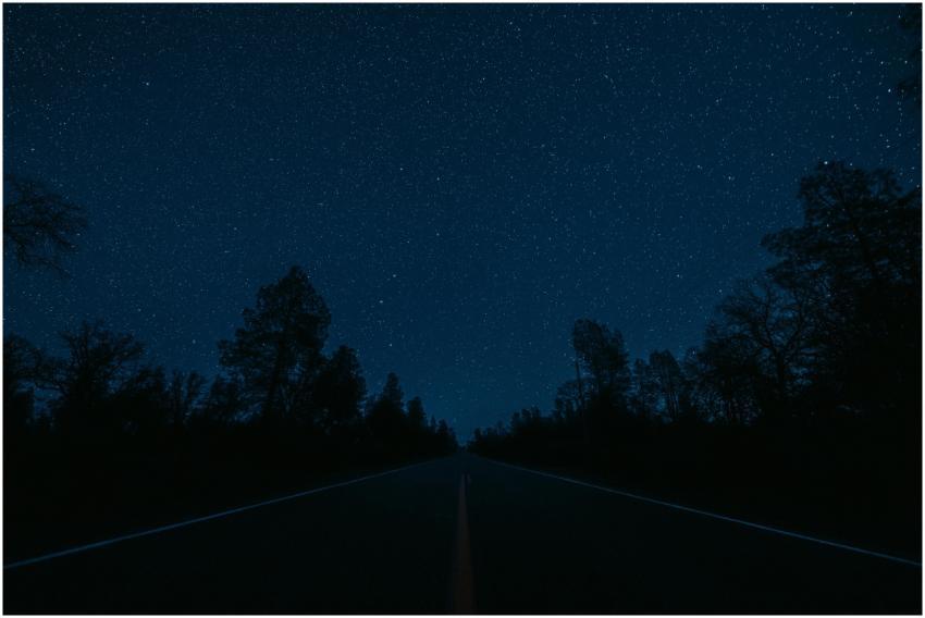 A tranquil starry sky above a silhouetted forest f