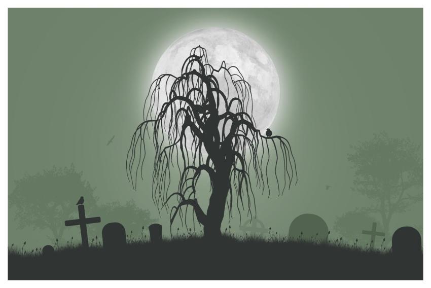 Graveyard Laptop Wallpaper 4K Wallpaper 1920X1080