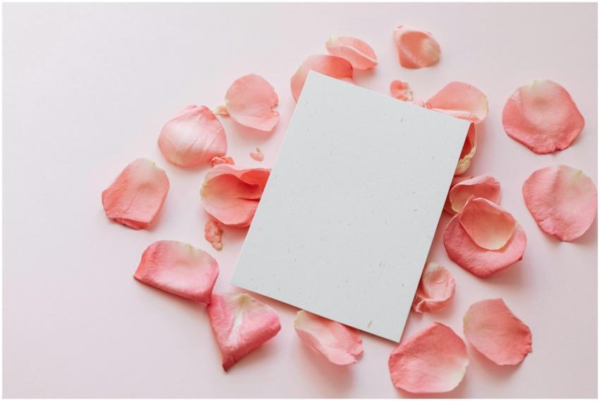 Elegant composition of pink rose petals surroundin